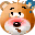 pw_bear_puzzled